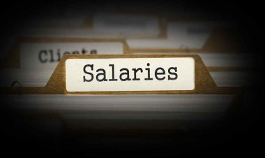 Salary in IT Sector: फ्रेशर्स को 20 हजार रुपये सैलरी देना भी पैसे की बर्बादी, बिजनेसमैन की राय पर छिड़ी नई बहस 