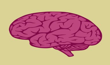 Schizophrenia: प्रोटीन की इस ऑटो एंटीबॉडी से होता है सिजोफ्रेनिया, नई स्टडी में हुआ बड़ा खुलासा