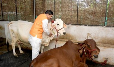 मंगल तिथियों पर आधारित जन्माष्टमी सभी के जीवन में मंगल ही मंगल करे: मुख्यमंत्री डॉ. यादव