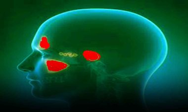 Sinus Treatment: इन लोगों को करवानी पड़ती है साइनस की सर्जरी, नहीं तो हो सकता है ये नुकसान
