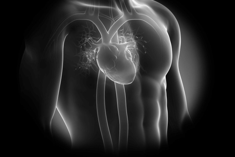 हार्ट अटैक आने से ठीक पहले इन लोगों को नहीं होता है दर्द! हैरान करने वाला खुलासा