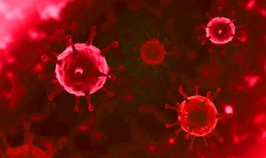 HMPV Virus New Case: चीन के खतरनाक HMPV का एक और केस मिला, जानें देश में कहां-कहां फैल गया वायरस