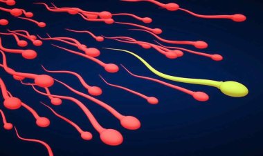 स्पर्म की क्वालिटी के लिए स्ट्रेस बुरा नहीं, रिसर्च में हुआ अजीबोगरीब खुलासा