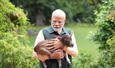 PM मोदी के घर आया नया मेहमान! गोद में लेकर साथ खेलते दिखे, VIDEO शेयर कर नाम भी बताया