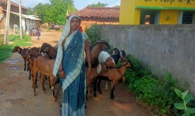 मुख्यमंत्री सक्षम सुरक्षा योजना: बकरी पालन कर बसना की भूमिका पटेल हुई आत्मनिर्भर