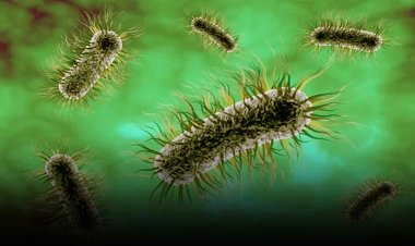 Superbugs: कोरोना के कहर के बाद क्या दुनिया के अगली महामारी होंगे सुपरबग्स, जानें हो सकते हैं कितने खतरनाक