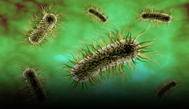 Superbugs: कोरोना के कहर के बाद क्या दुनिया के अगली महामारी होंगे सुपरबग्स, जानें हो सकते हैं कितने खतरनाक
