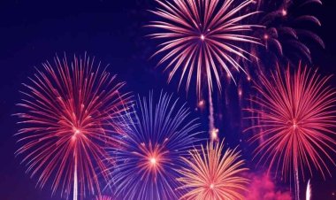 Firecracker Insurance: 9 रुपये में लें पटाखों से सुरक्षित रखने वाला बीमा, फोनपे की स्कीम से टेंशन फ्री होगी दीवाली