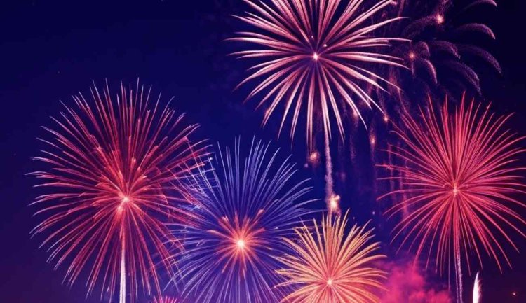 Firecracker Insurance: 9 रुपये में लें पटाखों से सुरक्षित रखने वाला बीमा, फोनपे की स्कीम से टेंशन फ्री होगी दीवाली