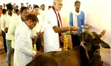 जरारूधाम में दीपावली मिलन एवं अन्नकूट का कार्यक्रम हुआ संपन्न