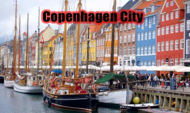 दुनिया की सबसे साफ शहर कोपेनहेगन में ऐसा क्या जिसे अपनाकर बदल जाएगी दिल्ली की तस्वीर, कभी खराब नहीं होगी एयर क्वालिटी