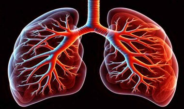 World COPD Day 2024: एयर पॉल्यूशन ले रहा है गंभीर रूप, इस दौरान लंग्स को ऐसे रखें सुरक्षित