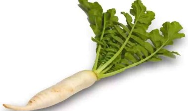 सर्दियों में चमत्कारी है मूली, पेट से लेकर स्किन तक की हर प्रॉब्लम्स का हो जाएगा सफाया