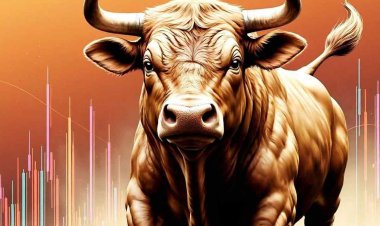 भारतीय शेयर बाजार 2025 आउटलुक: पहली छमाही में उतार-चढ़ाव, दूसरी छमाही में रिकवरी की उम्मीद