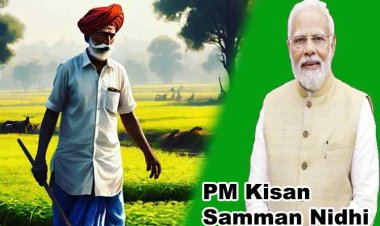 PM Kisan Samman Nidhi: 19वीं किस्त का समय, मोबाइल नंबर लिंक करने के स्टेप्स और बेनेफिशयरी स्टेटस-सब जानें