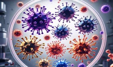 'HMPV वायरस को लेकर न हों पैनिक, लेकिन सावधानी जरूरी', एक्सपर्ट ने बताए प्रोटोकॉल