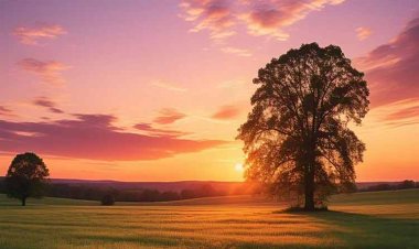 छत्तीसगढ़ में फिर बदलेगा मौसम का मिजाज, तापमान में उतार-चढ़ाव जारी