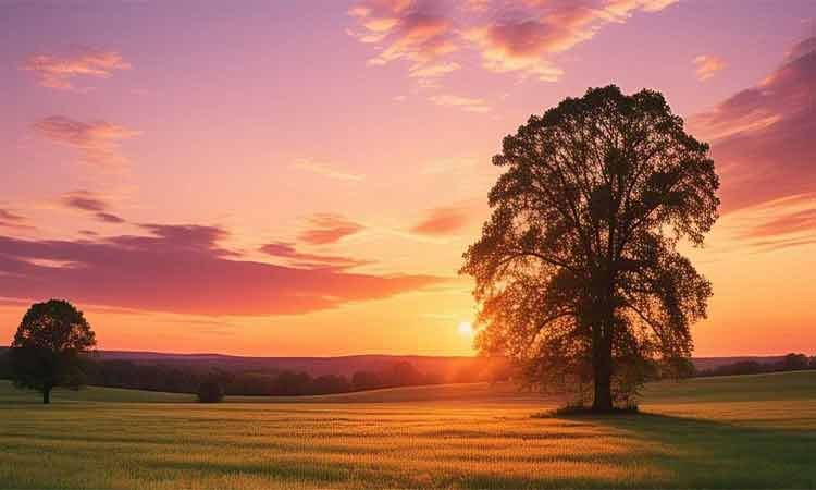 छत्तीसगढ़ में फिर बदलेगा मौसम का मिजाज, तापमान में उतार-चढ़ाव जारी