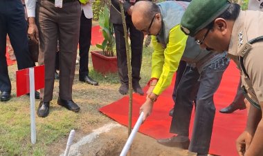 रायपुर : राज्यपाल श्री रमेन डेका ने कोरबा कलेक्ट्रेट परिसर में ’एक पेड़ माँ के नाम अभियान‘ अंतर्गत किया पौधारोपण