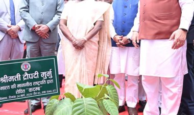 रायपुर : राष्ट्रपति श्रीमती द्रौपदी मुर्मु ने विधानसभा परिसर में किया कदम्ब का पौधरोपण