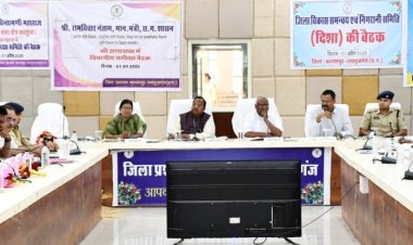 रायपुर : कृषि मंत्री श्री नेताम ने ली डीएमएफ, दिशा एवं सड़क सुरक्षा समिति की बैठक