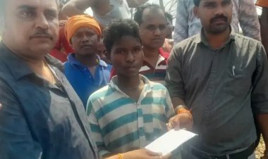 दंतैल हाथी के हमले से एक ग्रामीण की मौत