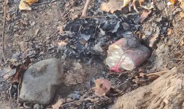 बीजापुर में 4 आईईडी बरामद