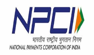 यूपीआई लेनदेन में कुछ तकनीकी समस्याओं के कारण आंशिक रूप से आ रही है कमी :