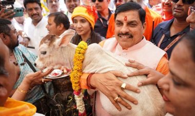 गौ-शालाओं से मध्यप्रदेश में गौ-सेवा की लिखेंगे नई इबारत : मुख्यमंत्री डॉ. यादव