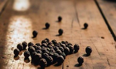 काली मिर्च: मसालों का राजा और सेहत का रखवाला