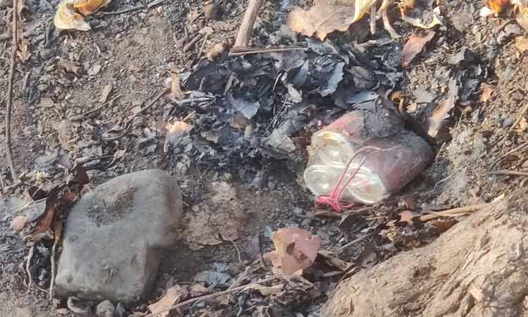 बीजापुर में 4 आईईडी बरामद