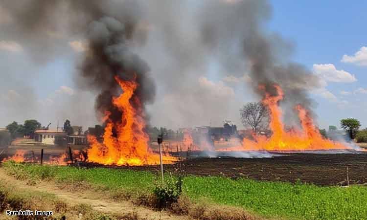 कलेक्टर के आदेश का उल्लंघन पर एफआईआर दर्ज