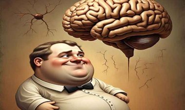 मोटापा और मानसिक क्षमता: कैसे बढ़ता वजन दिमाग को बना सकता है कमजोर