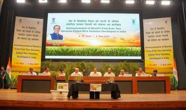 भारत जीनोम-संवर्धित चावल की किस्में विकसित करने वाला दुनिया का पहला देश बना