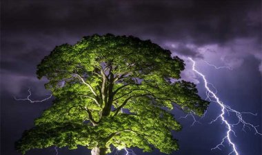 उत्तर प्रदेश में आंधी-बारिश ने मचाई तबाही, 51 लोगों की मौत, राहत कार्य तेज़