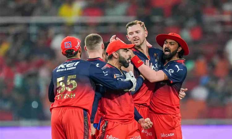 आईपीएल: रॉयल चैलेंजर्स बेंगलुरु ने पंजाब किंग्स को आठ विकेट से हराकर फाइनल में प्रवेश किया