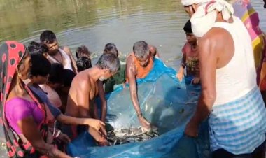 दरभंगा की जीविका दीदियों कर रहीं मछलीपालन