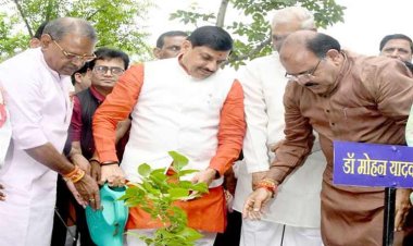 सुंदर-स्वच्छ और स्वस्थ पर्यावरण का उपहार है पौधरोपण - मुख्यमंत्री डॉ. यादव