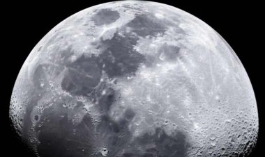 8,000 अन्य लोगों को हराया, 10 लोग जो बने नासा के अंतरिक्ष यात्री उम्मीदवार