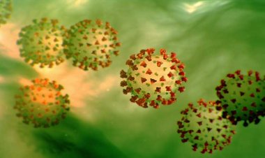 एचआईवी की दवाओं से रुकेगा HTLV-1 वायरस, ऑस्ट्रेलियाई वैज्ञानिकों की बड़ी खोज