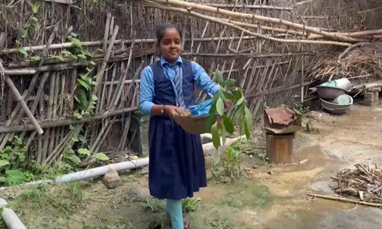 'पेड़ के बदले पेन' मुहिम: पर्यावरण संरक्षण की अनूठी पहल