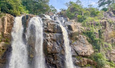 रायपुर : वैश्विक स्तर पर पर्यटन के क्षेत्र में नई पहचान स्थापित कर रहा है गौरेला-पेंड्रा-मरवाही जिला