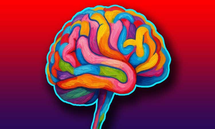 अल्जाइमर और स्ट्रोक में मस्तिष्क की रक्षा कोशिकाएं हैं असली दोषी