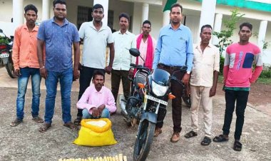 गिरौदपुरी में बांस करील और पिका के अवैध परिवहन पर कार्रवाई, आरोपी गिरफ्तार