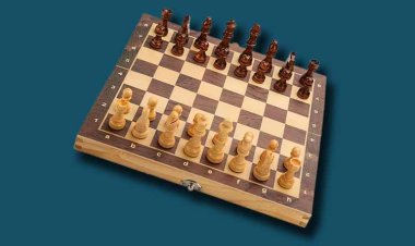 भारतीय ग्रैंडमास्टर गुकेश और दिव्या देशमुख ने यूरोपीय शतरंज क्लब कप 2025 में जीते दो-दो स्वर्ण पदक