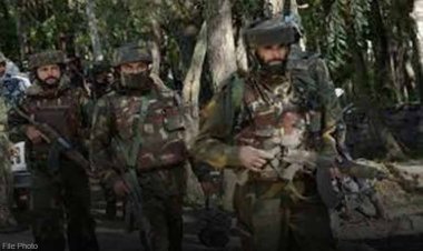 बीजापुर मुठभेड़ में दो माओवादी ढेर, सुरक्षा बलों ने हथियार और विस्फोटक बरामद किए