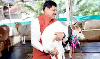 मुख्यमंत्री डॉ. यादव ने नवजात बछिया का किया नामकरण