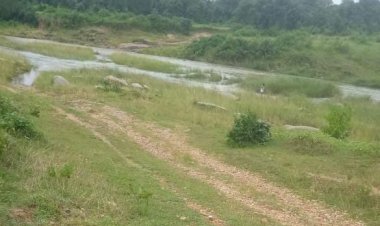 रायपुर : भालूमुंडा-खेजूरघाट मार्ग पर कोकिया नदी पर बनेगा 3 करोड़ 32 लाख की लागत से उच्च स्तरीय पुल