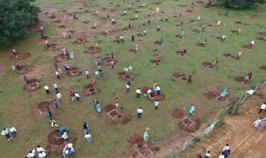 रायपुर : फलदार वृक्षों से बदली जिंदगी : सुरेश चन्द्र बने गांव के लिए प्रेरणा स्रोत