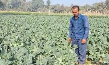 बाराबंकी के किसानों की आर्थिक मजबूती में प्रधानमंत्री किसान सम्मान निधि योजना का योगदान